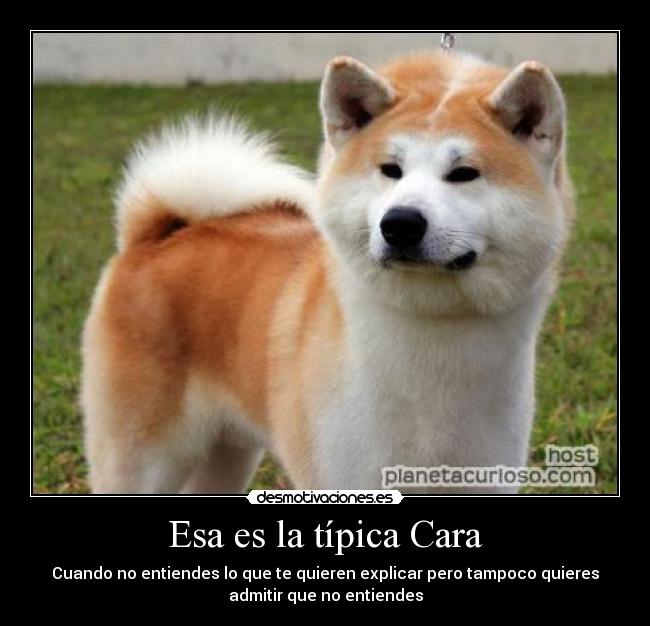 Esa es la típica Cara - Cuando no entiendes lo que te quieren explicar pero tampoco quieres
admitir que no entiendes