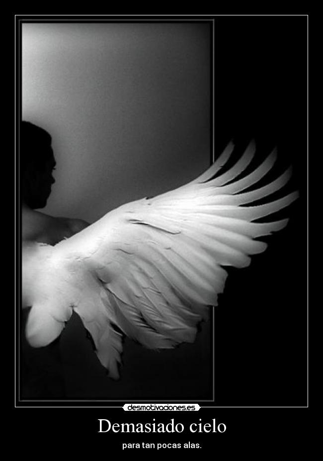 Demasiado cielo - para tan pocas alas.