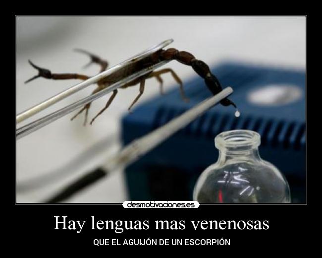 carteles lengua veneno venenosa escorpion aguijon mas desmotivaciones