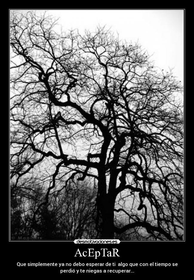 AcEpTaR - Que simplemente ya no debo esperar de ti algo que con el tiempo se
perdió y te niegas a recuperar...