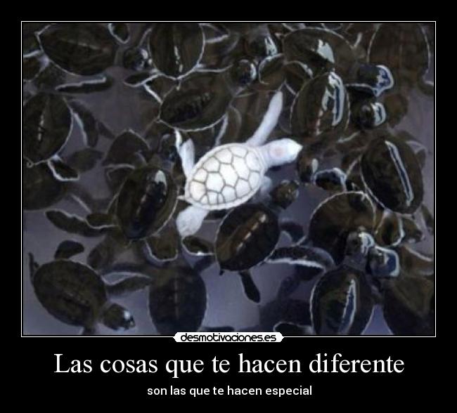 Las cosas que te hacen diferente - 