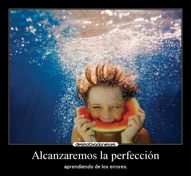 Alcanzaremos la perfección - 