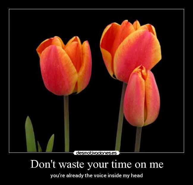 carteles maria elizabet revilla ruiz desmotivaciones