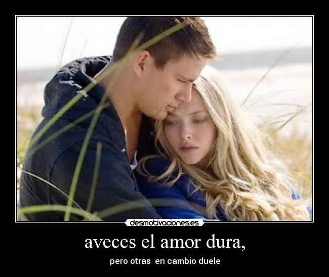 carteles amor liliana hernandez desmotivaciones