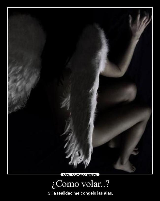 ¿Como volar..? - Si la realidad me congelo las alas.