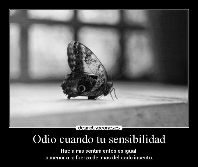 Odio cuando tu sensibilidad - 