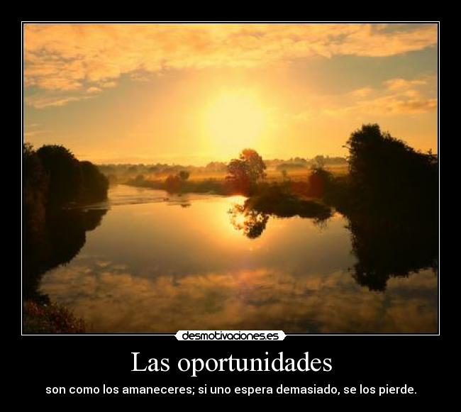 Las oportunidades - son como los amaneceres; si uno espera demasiado, se los pierde.