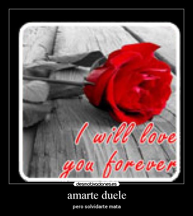 carteles siempre estaras mente desmotivaciones