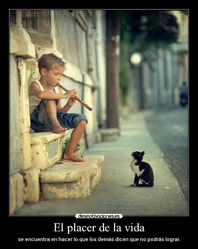 El placer de la vida -