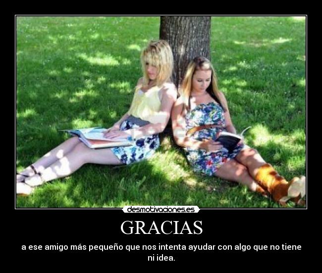 GRACIAS - a ese amigo más pequeño que nos intenta ayudar con algo que no tiene ni idea.