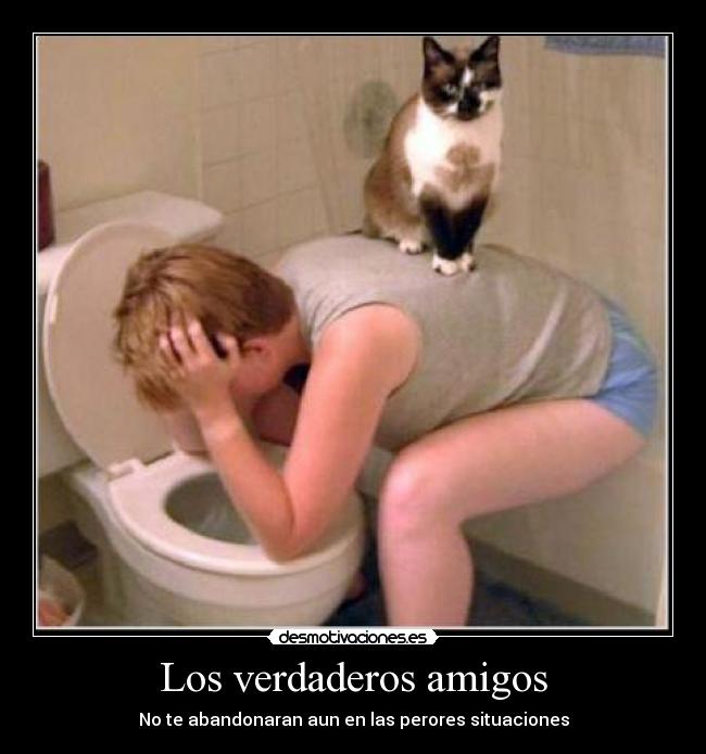 Los verdaderos amigos - No te abandonaran aun en las perores situaciones