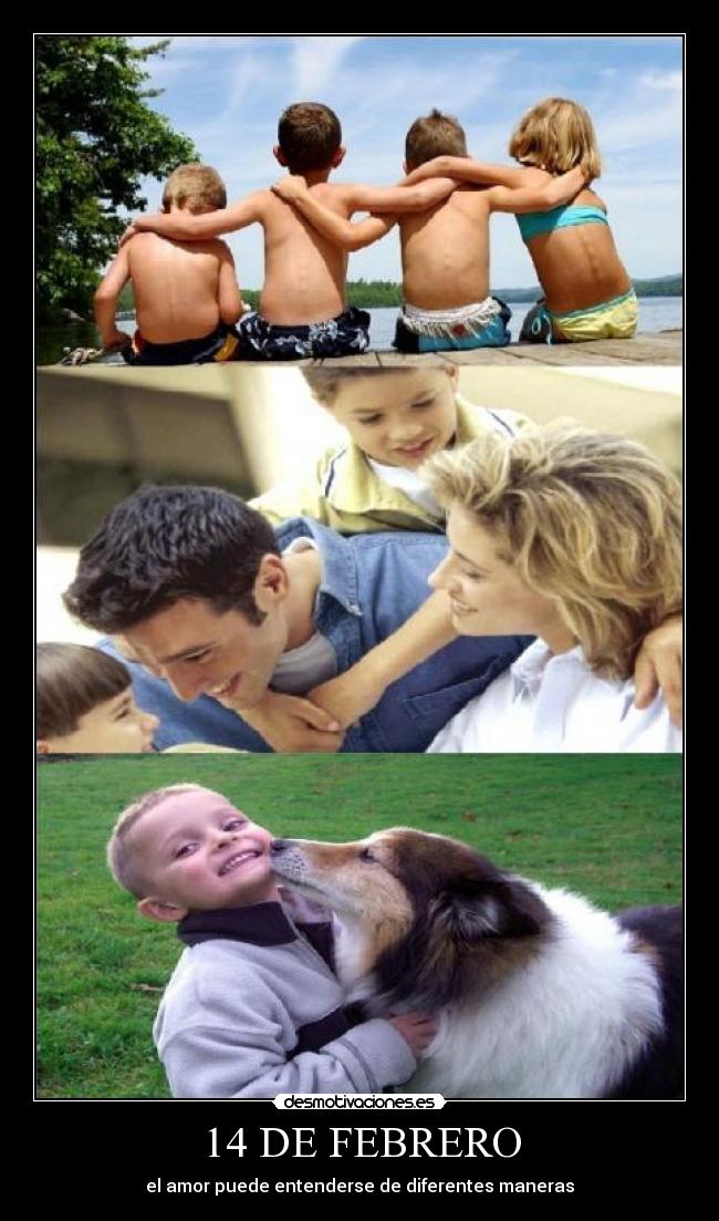 14 DE FEBRERO - 