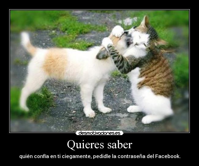 Quieres saber - 