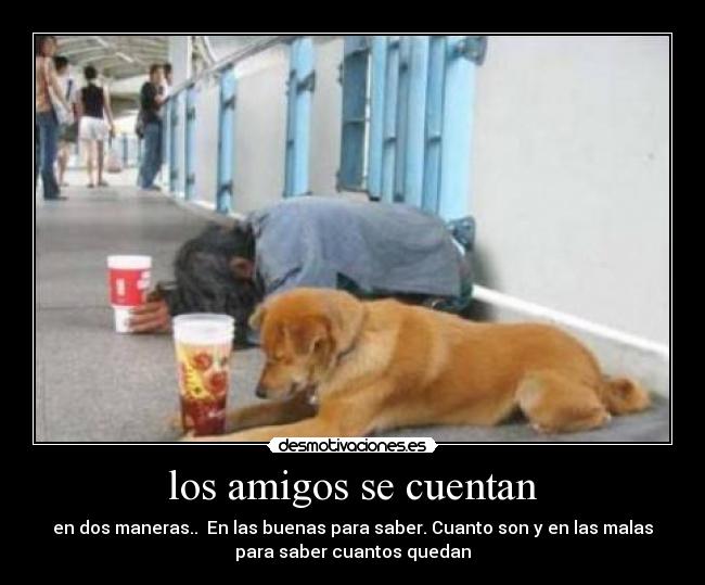 los amigos se cuentan -