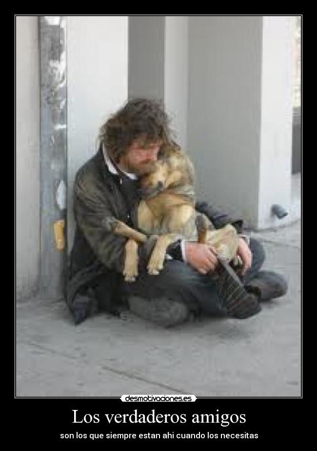 Los verdaderos amigos - 