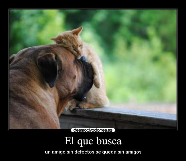 El que busca - 