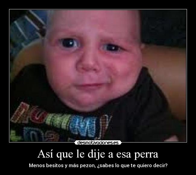 Así que le dije a esa perra -