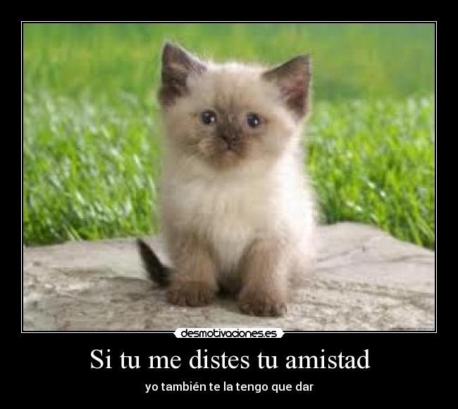 Si tu me distes tu amistad - yo también te la tengo que dar