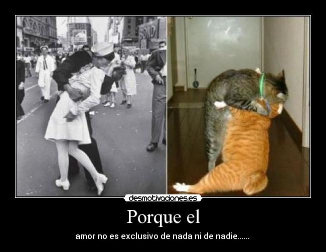 Porque el - amor no es exclusivo de nada ni de nadie...... ♥