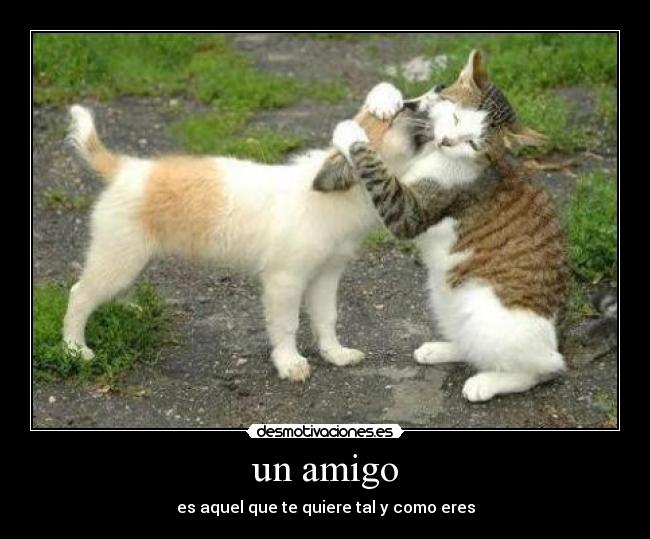 un amigo - 