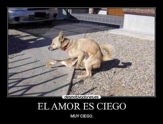 EL AMOR ES CIEGO - MUY CIEGO.