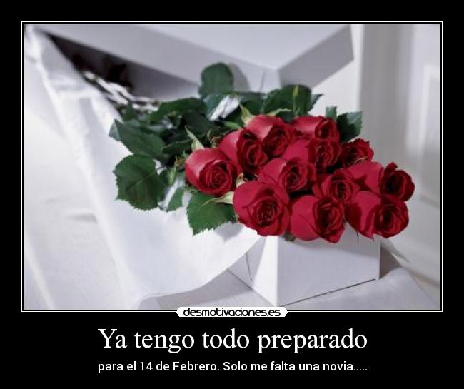 Ya tengo todo preparado - para el 14 de Febrero. Solo me falta una novia.....
