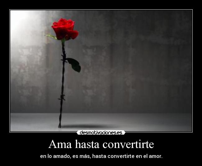 Ama hasta convertirte -