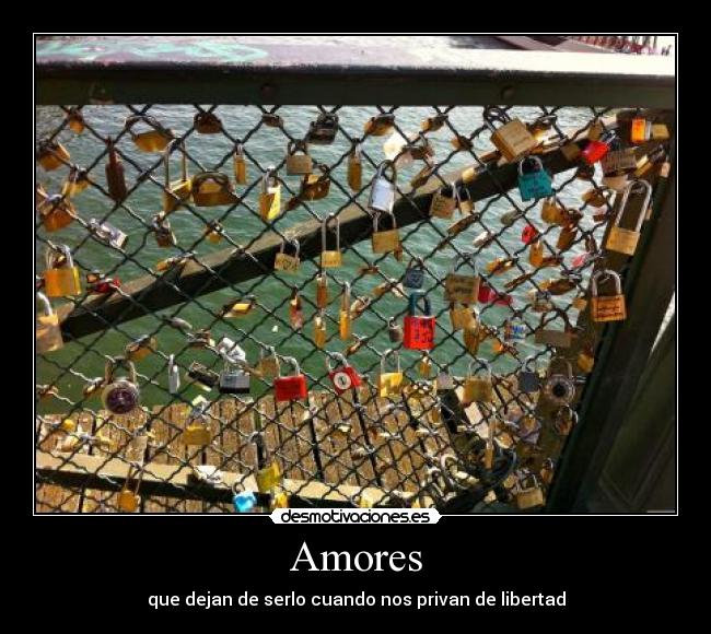 Amores -