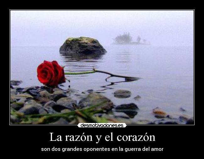 carteles corazon ashilia desmotivaciones