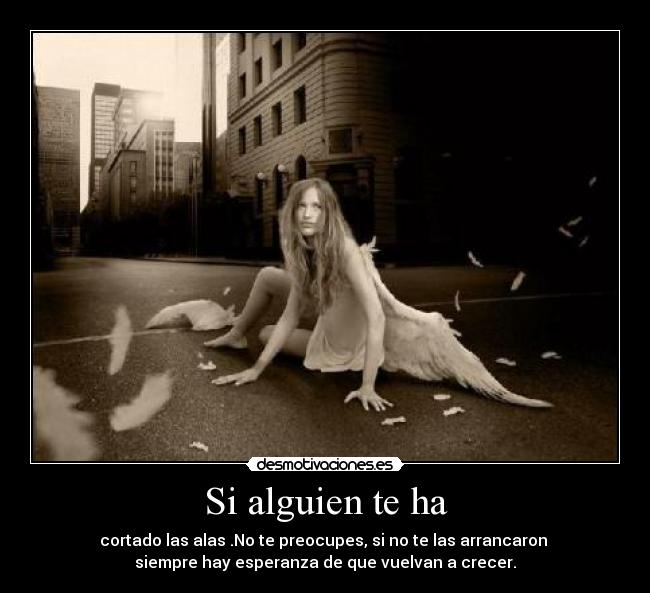 Si alguien te ha - cortado las alas .No te preocupes, si no te las arrancaron
siempre hay esperanza de que vuelvan a crecer.