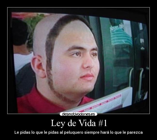 Ley de Vida #1 - Le pidas lo que le pidas al peluquero siempre hará lo que le parezca