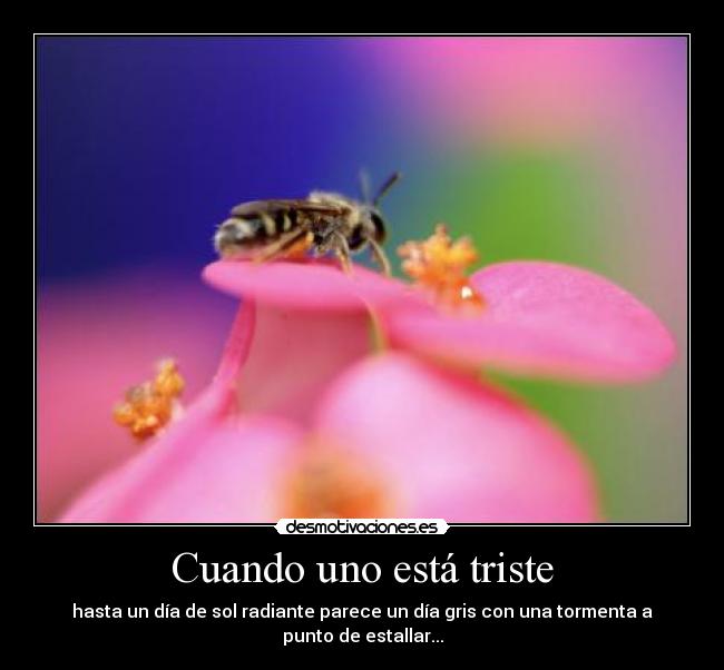 carteles alma pena desmotivaciones