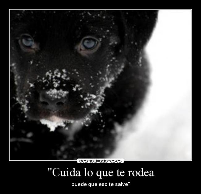 Cuida lo que te rodea - puede que eso te salve