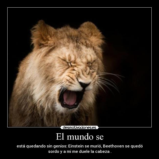 El mundo se - está quedando sin genios: Einstein se murió, Beethoven se quedó
sordo y a mi me duele la cabeza .
