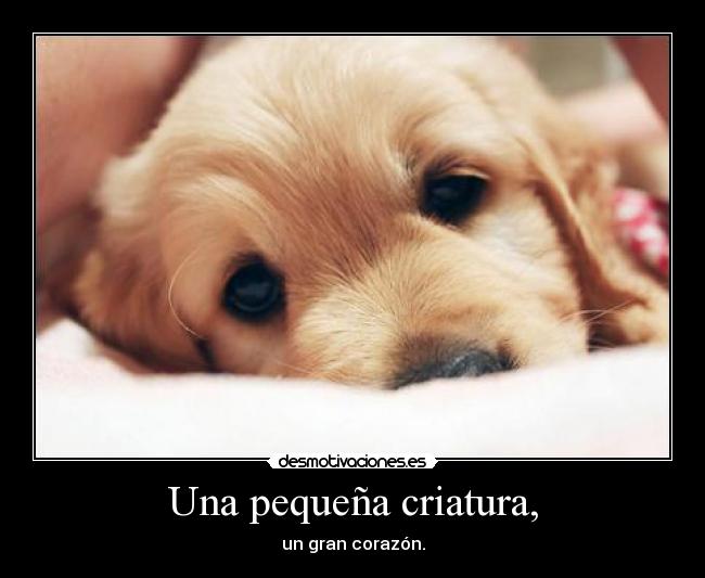 carteles esooo desmotivaciones