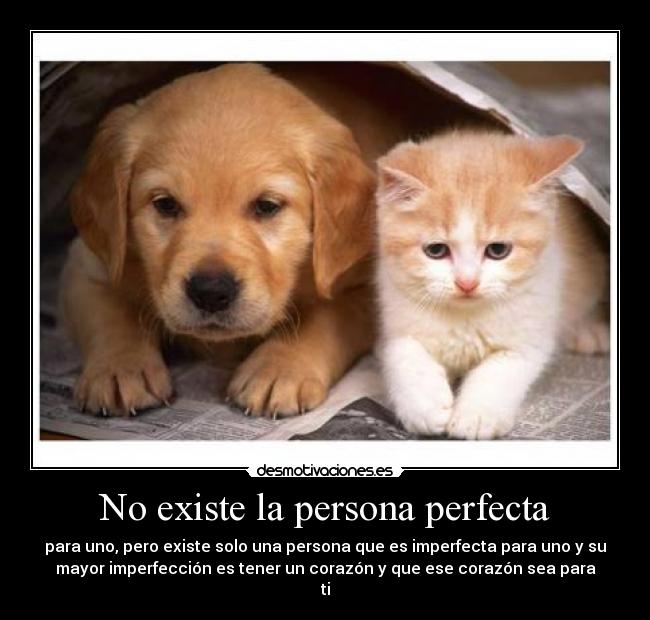 carteles perfeccion imposible pero imperfeccion solo uno tendra desmotivaciones