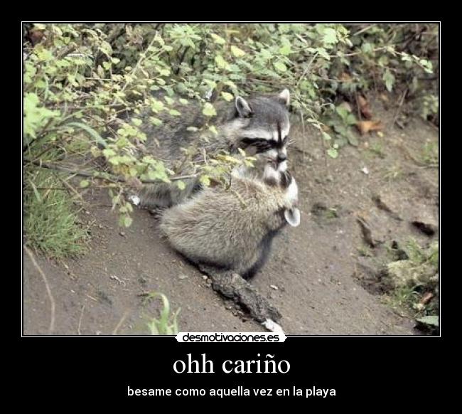 ohh cariño -
