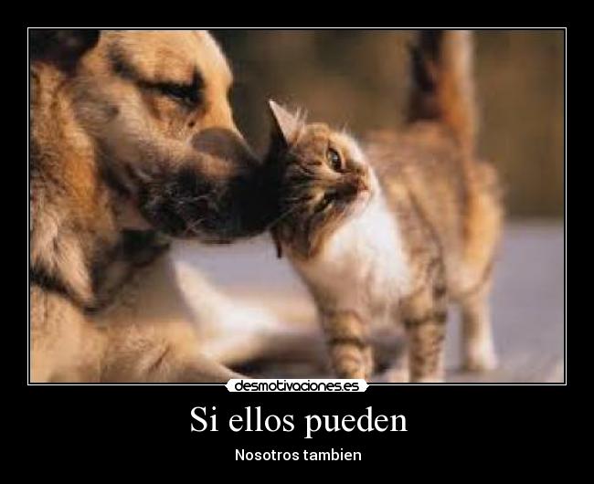 carteles vivir paz desmotivaciones