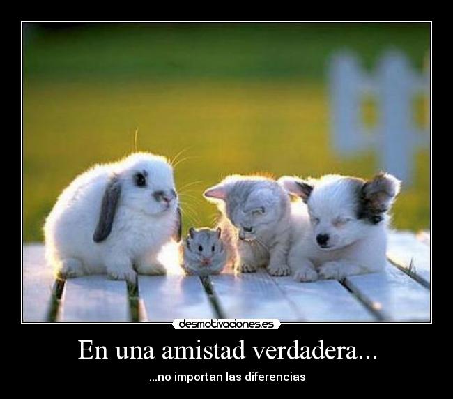 En una amistad verdadera... -