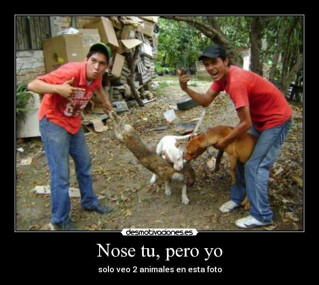 Nose tu, pero yo - 