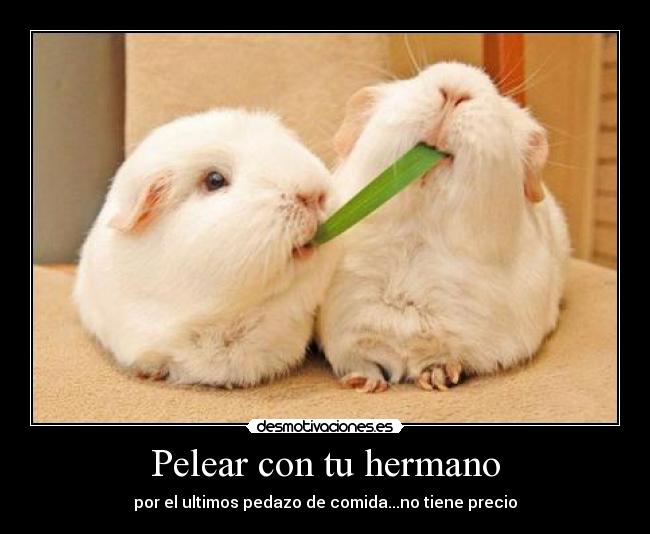 carteles hermano desmotivaciones