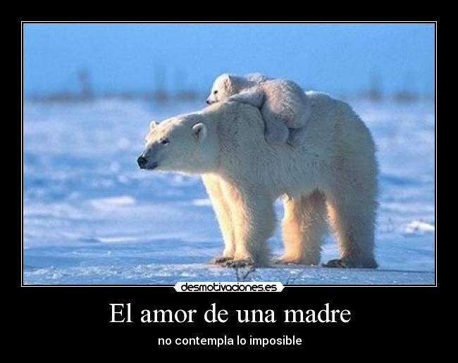 El amor de una madre - no contempla lo imposible