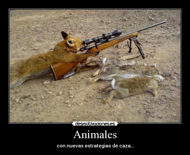 Animales - con nuevas estrategias de caza...
