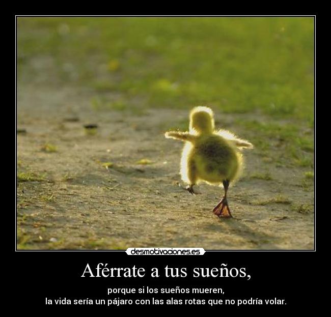 Aférrate a tus sueños, - porque si los sueños mueren,
la vida sería un pájaro con las alas rotas que no podría volar.