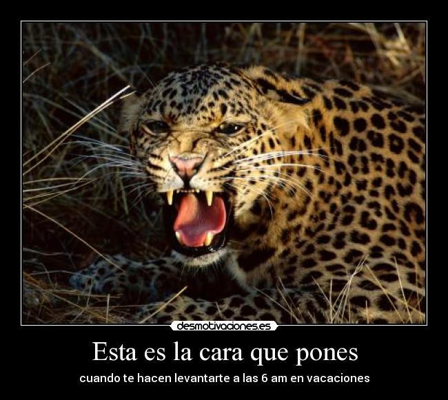 Esta es la cara que pones - cuando te hacen levantarte a las 6 am en vacaciones