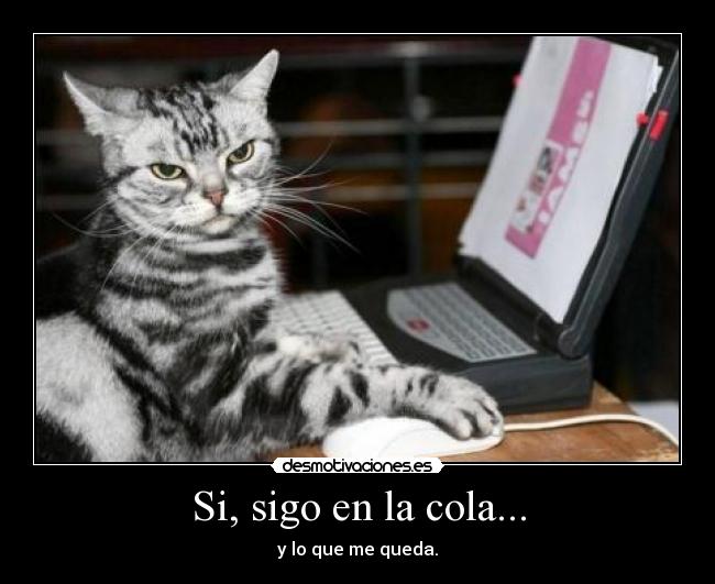 Si, sigo en la cola... - y lo que me queda.