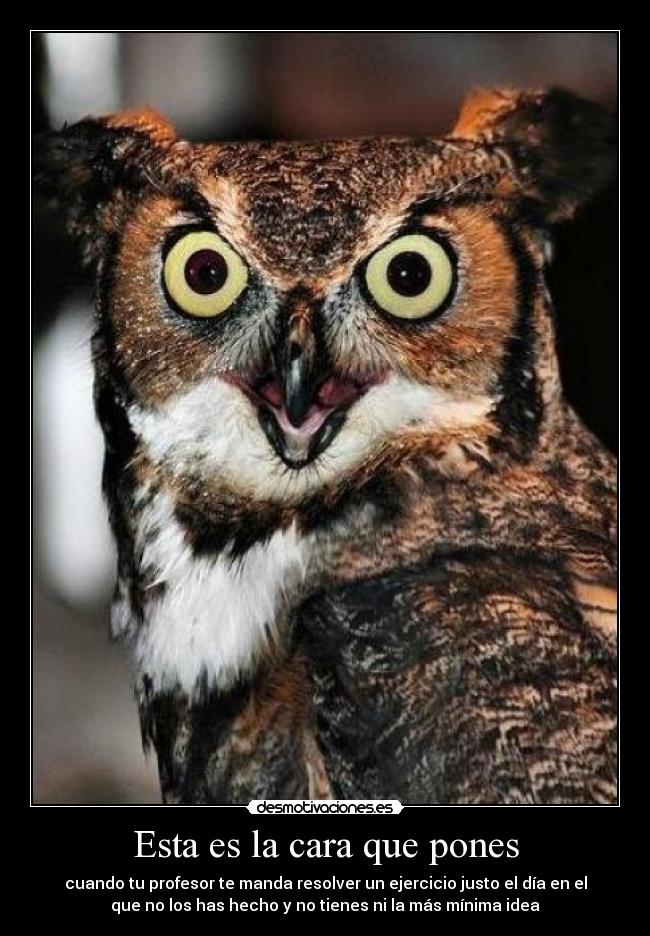 Esta es la cara que pones -