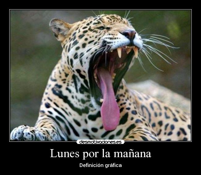 Lunes por la mañana - Definición gráfica