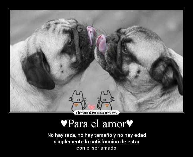 ♥Para el amor♥ - No hay raza, no hay tamaño y no hay edad
simplemente la satisfacción de estar
con el ser amado.