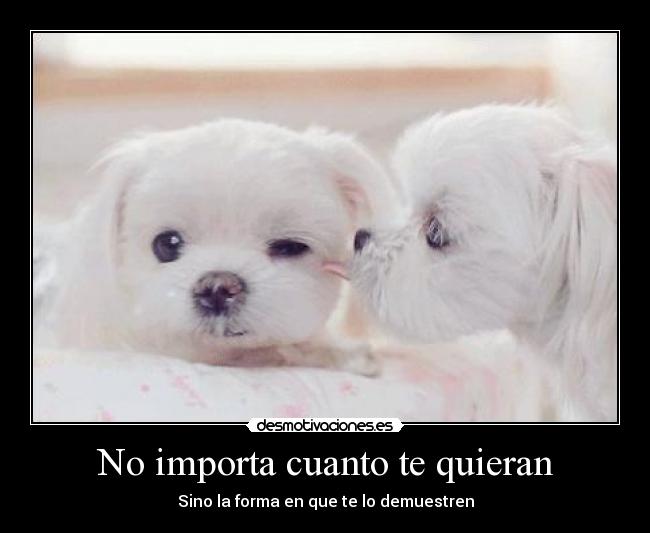 No importa cuanto te quieran -